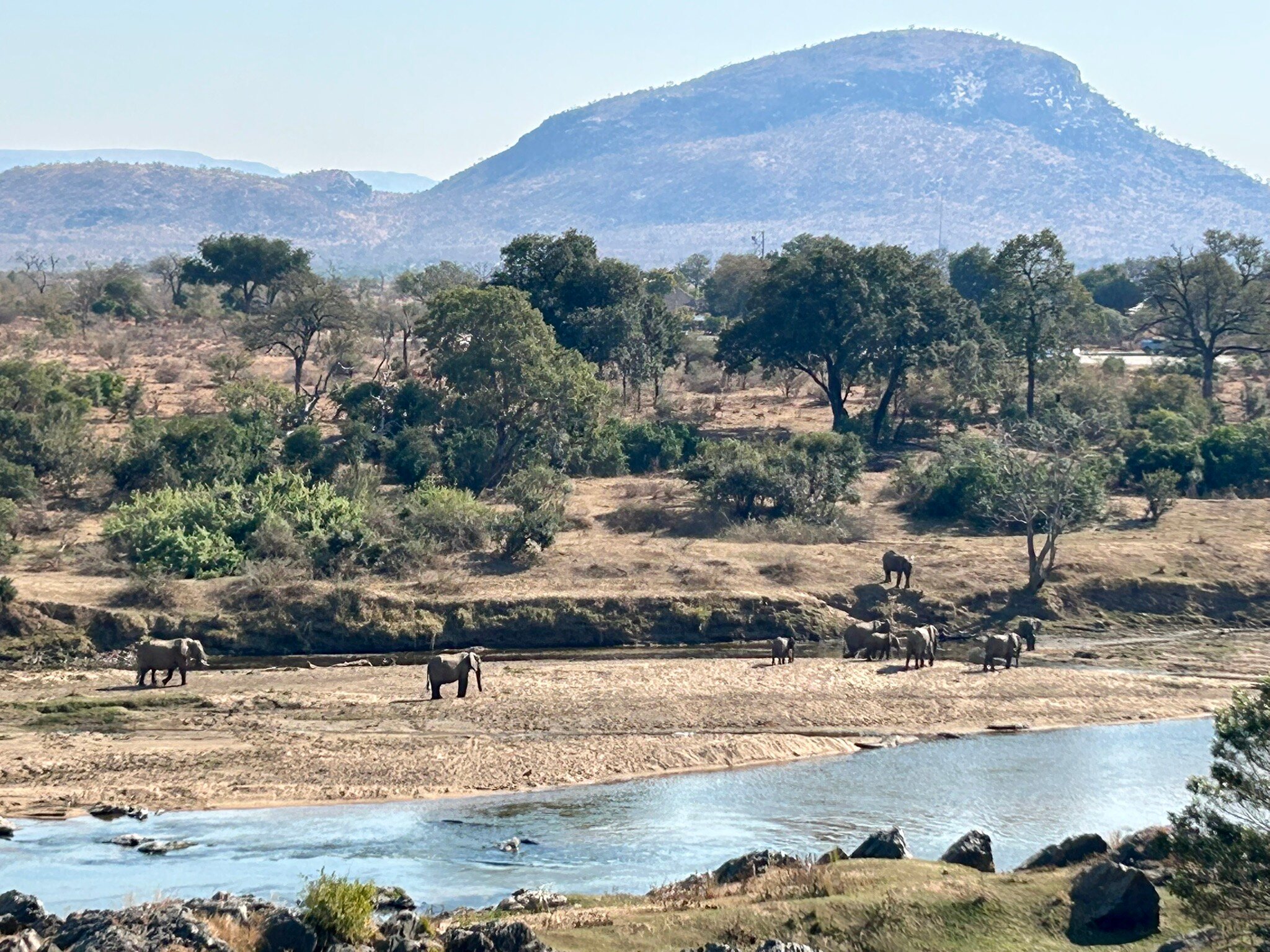 Pestana Kruger Lodge-官方