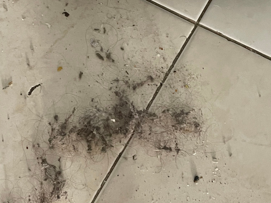 Lantana Resort主图