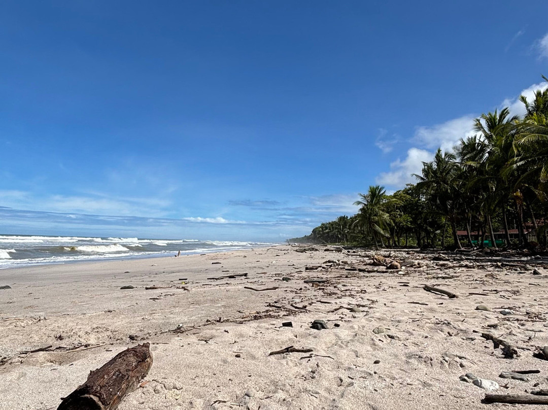 Go Corcovado-Bahia Drake必去景点