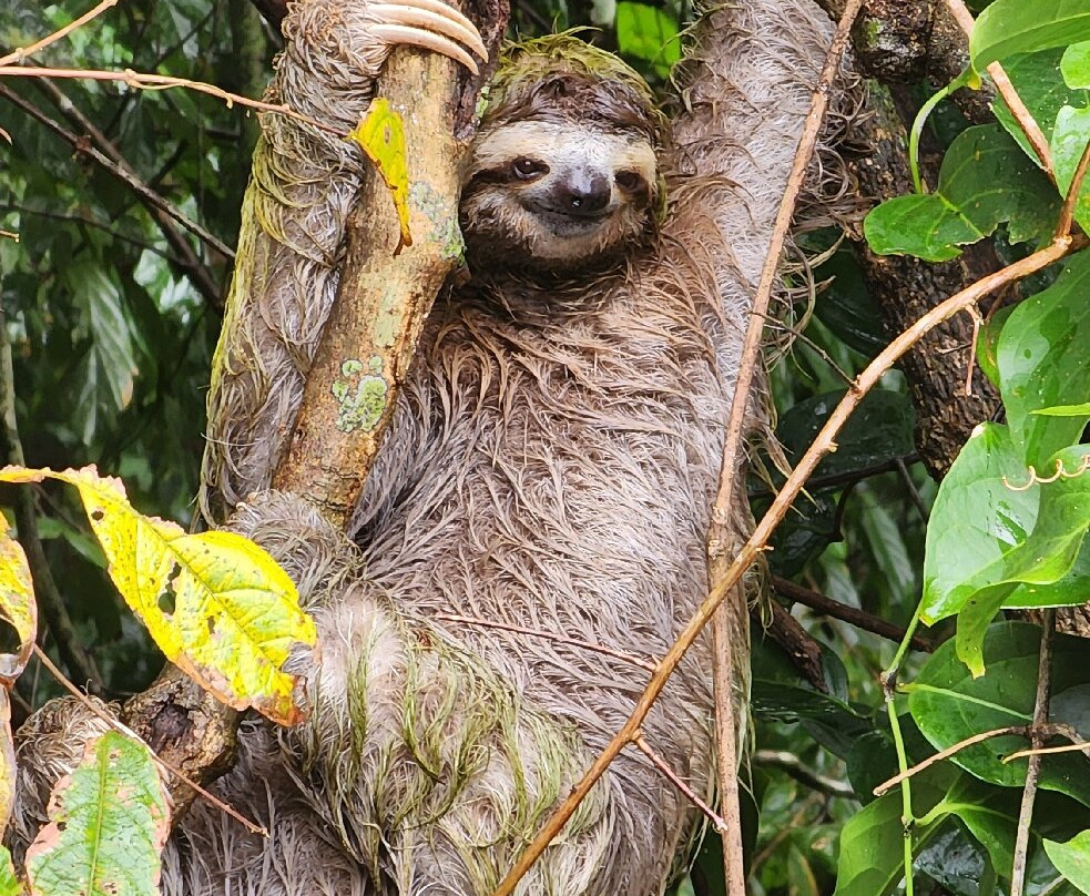 Nature Escapes-Bahia Drake必去景点