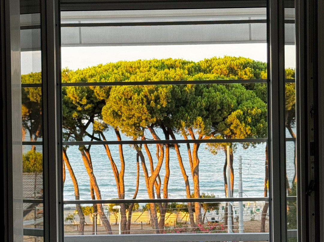 Hotel La Pineta主图