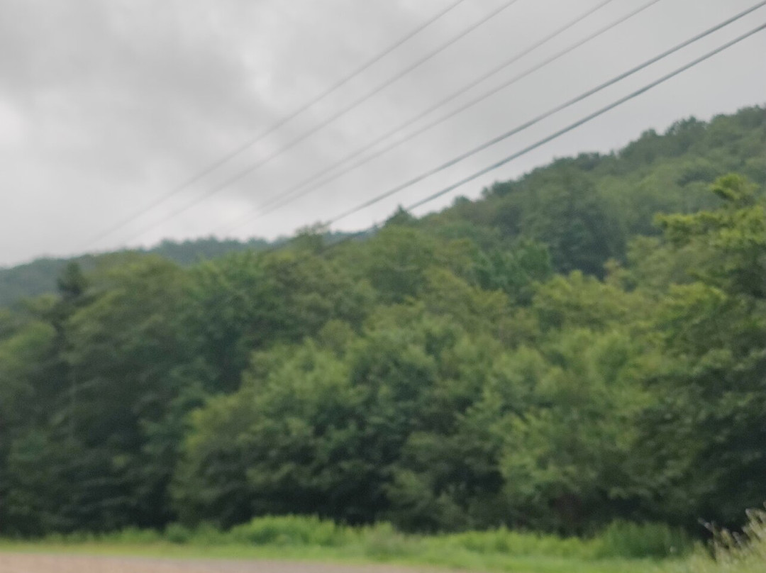 Middlebury Snowbowl-Hancock必去景点