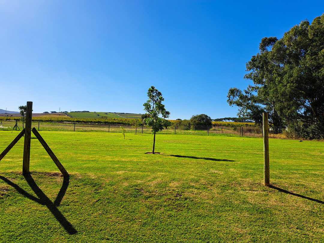 Lovane Boutique Wine Estate主图