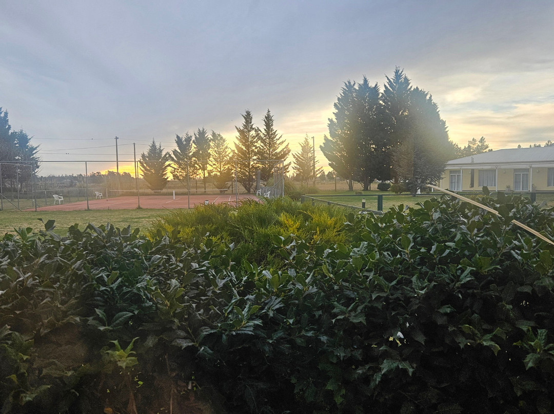 Elegance Hotel Tres Arroyos主图