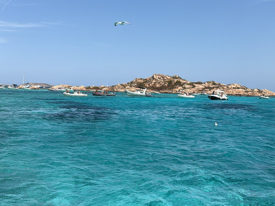 Palau Blue Tours-帕劳必去景点