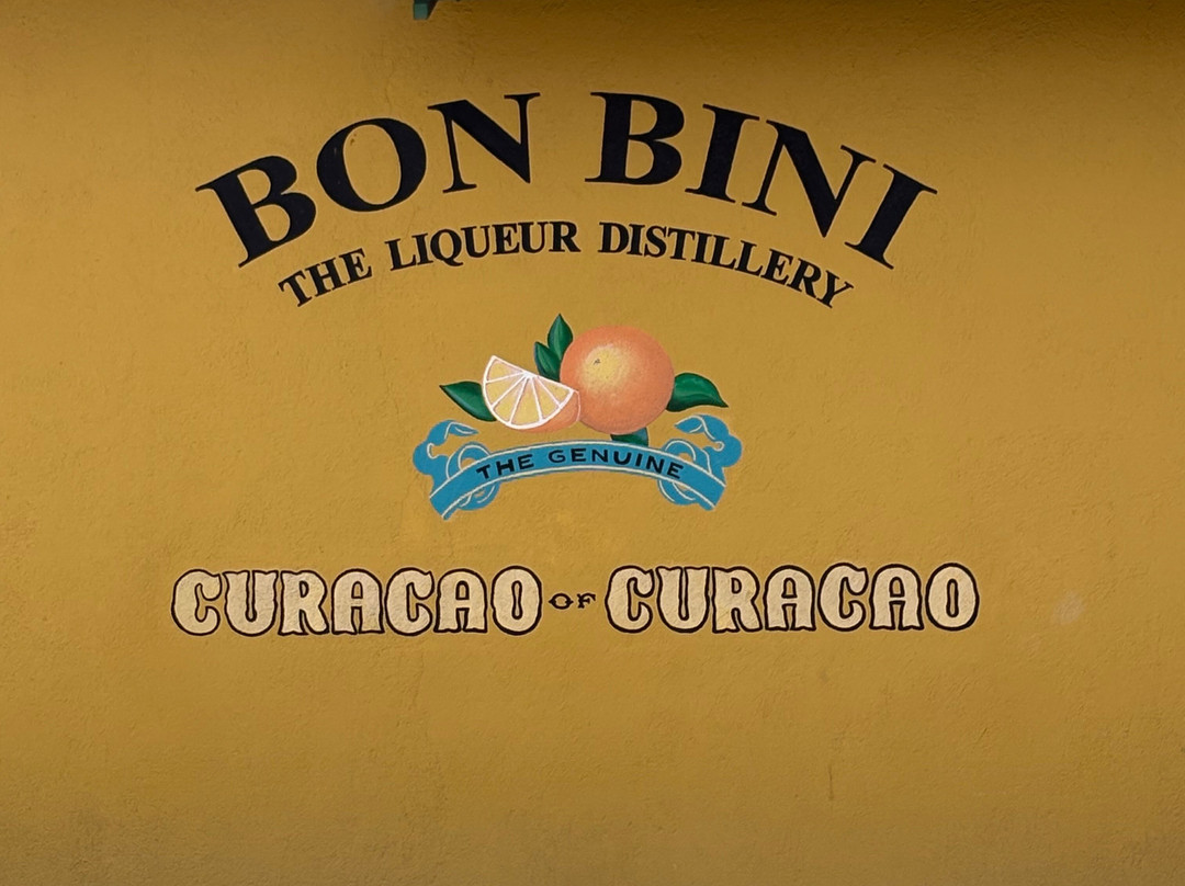 Curaçao Fascinating Tours-威廉斯塔德必去景点