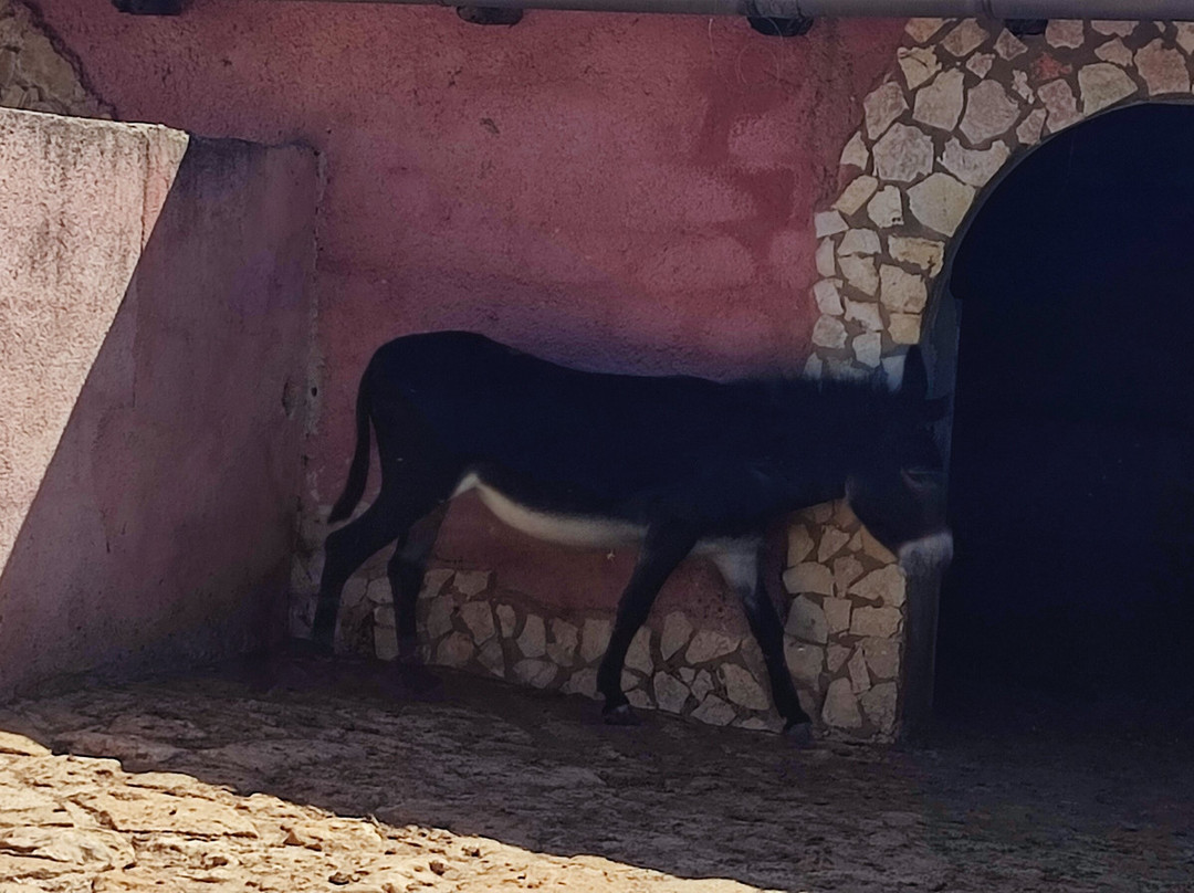 Albergo Al Sole主图