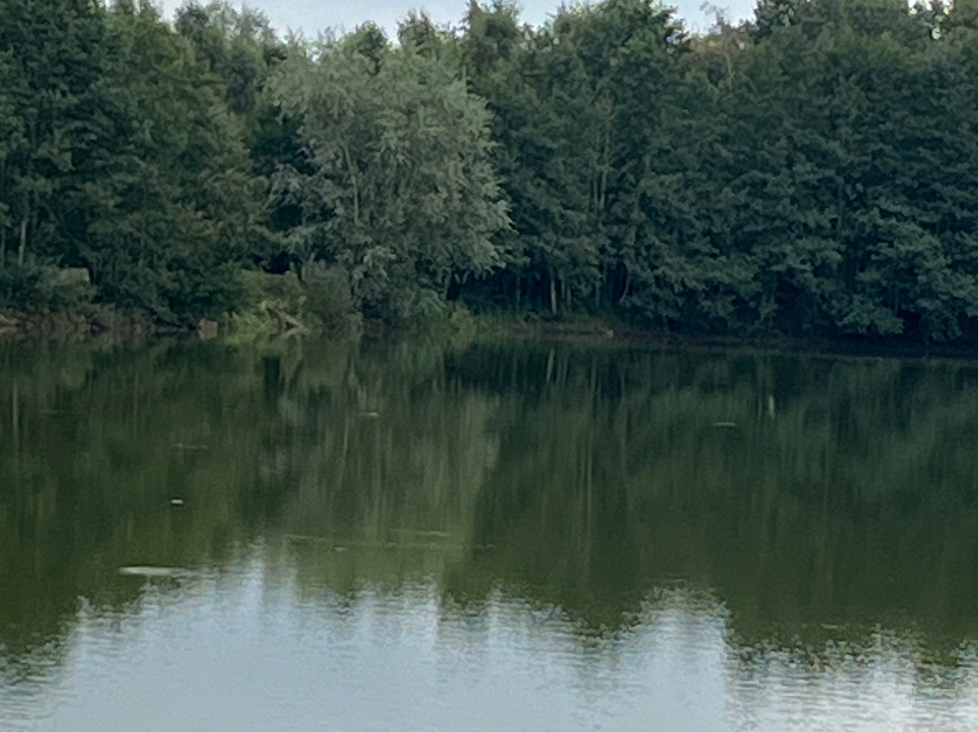 Allerthorpe Lakeland Park-Allerthorpe必去景点