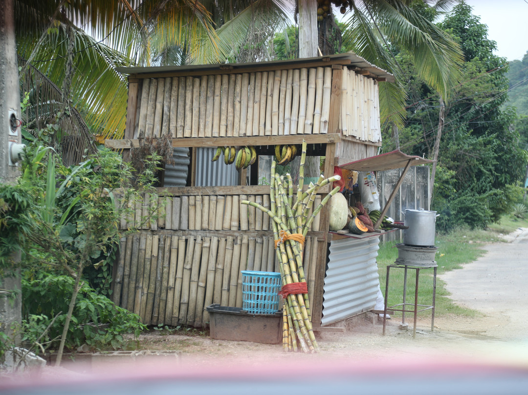 Byron's Jamaica Tours-蒙特戈贝必去景点