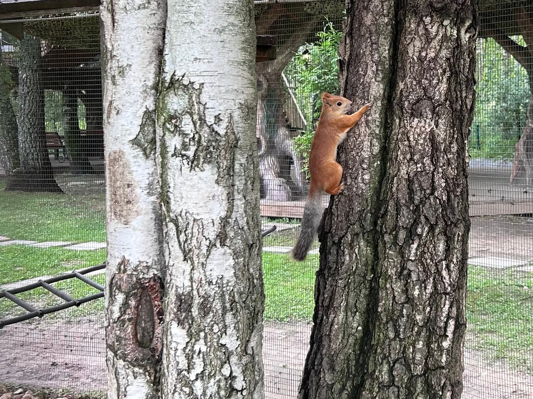 Family Park Volshebnaya Strana-Petrovo必去景点