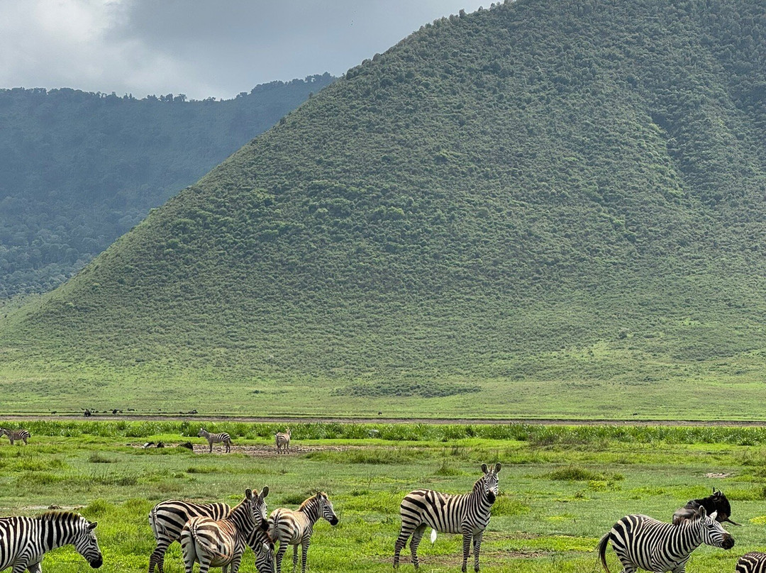 Afrishare Trekking and Safaris-莫西必去景点