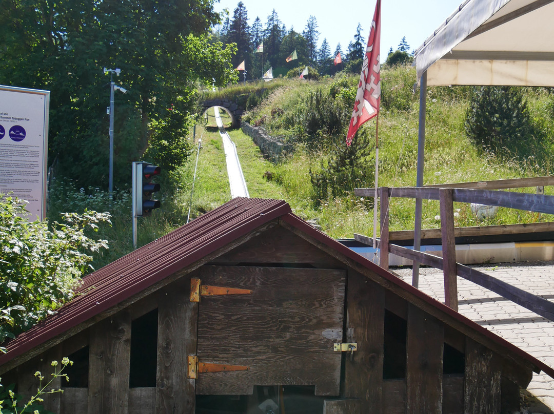 Toboggan-La Vue des Alpes必去景点