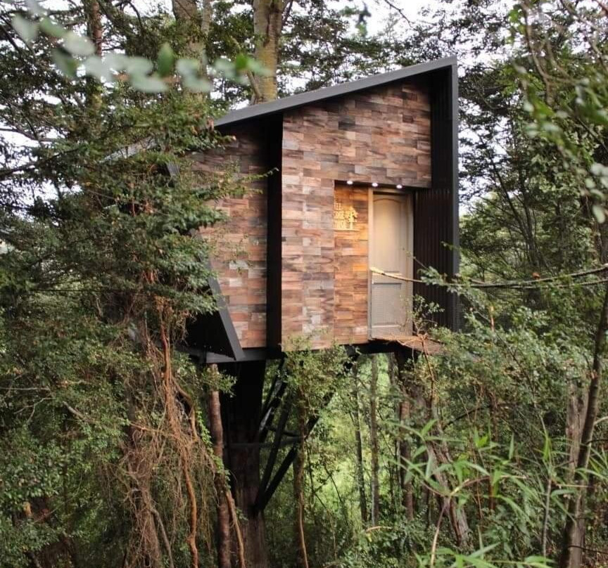 Tree Lodge Chiloe