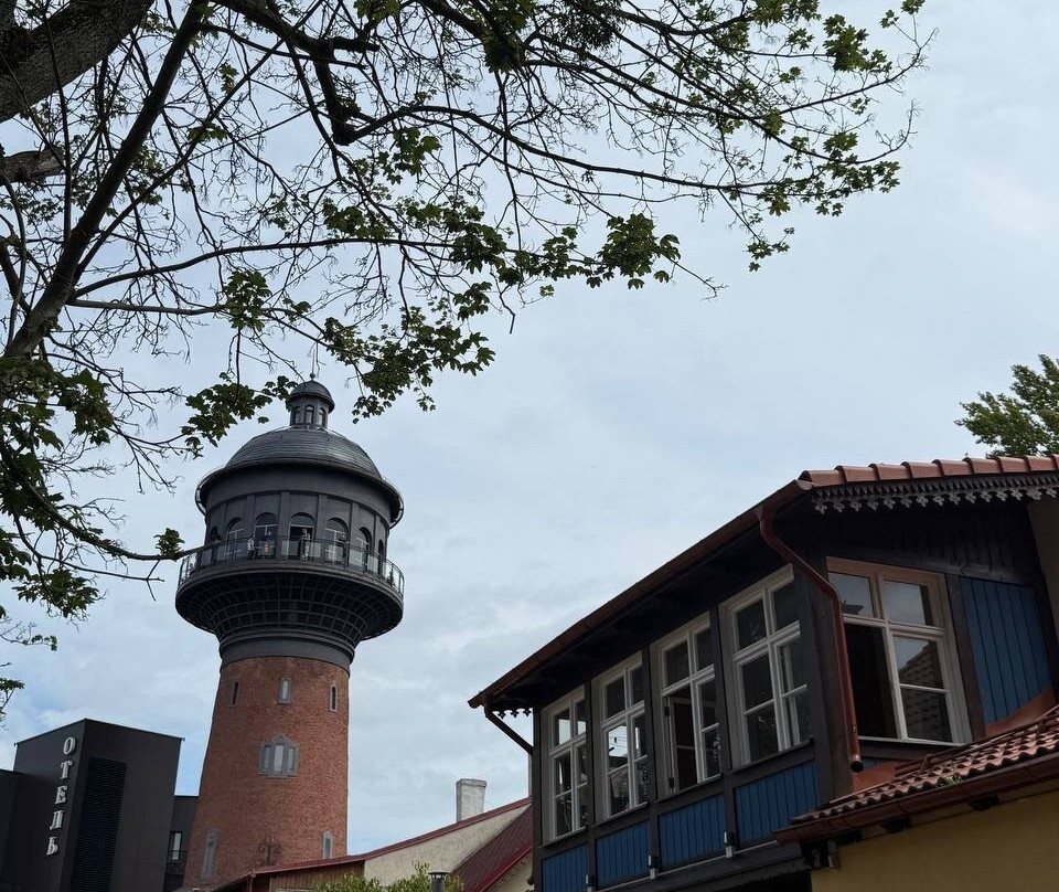 Murarium Art-Collection of Cats-泽列诺格拉茨克必去景点