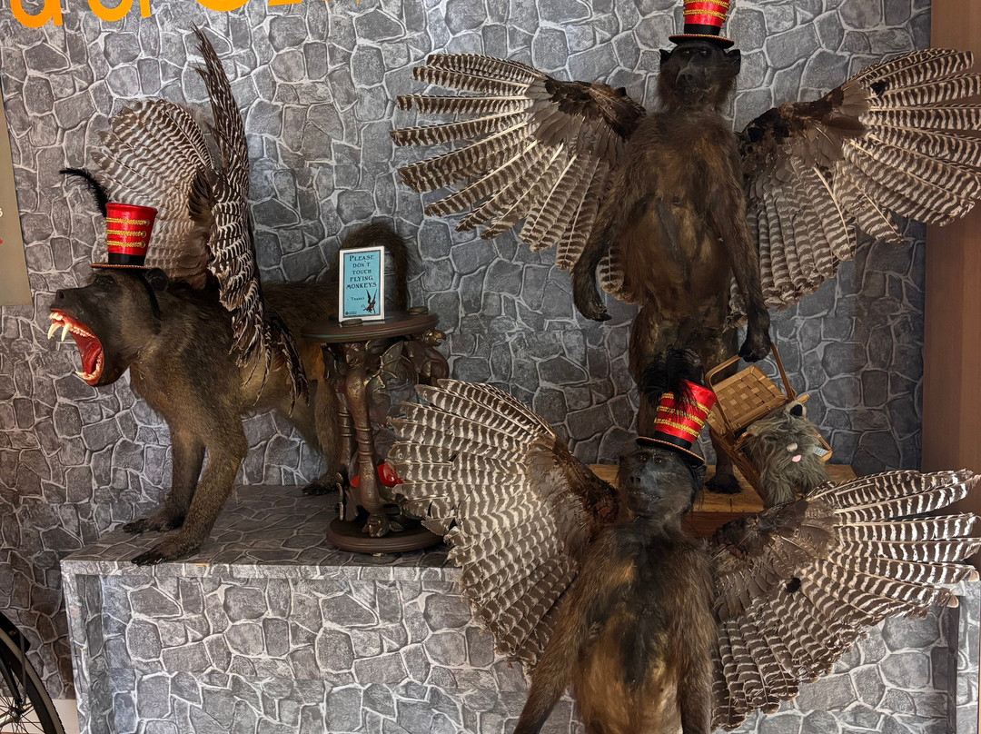 The Wizard Of Oz Museum And Van Gogh-卡纳维拉尔角必去景点