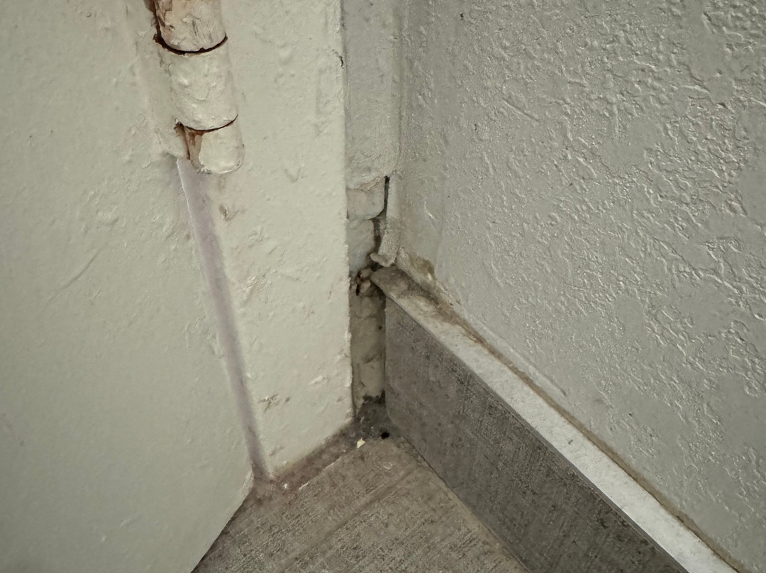 芝加哥欧克布鲁克假日酒店主图