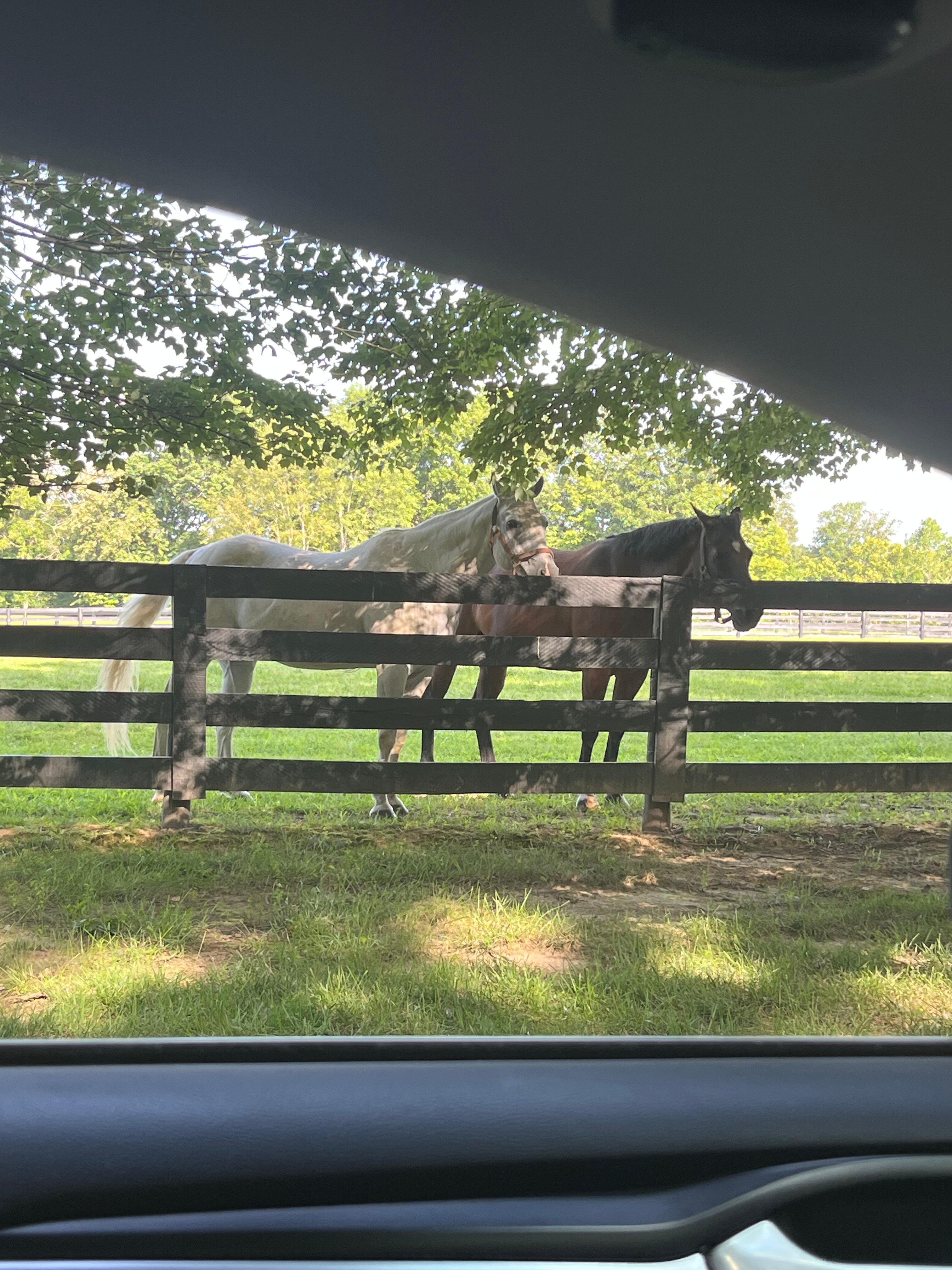 Bluegrass Country Estate-官方