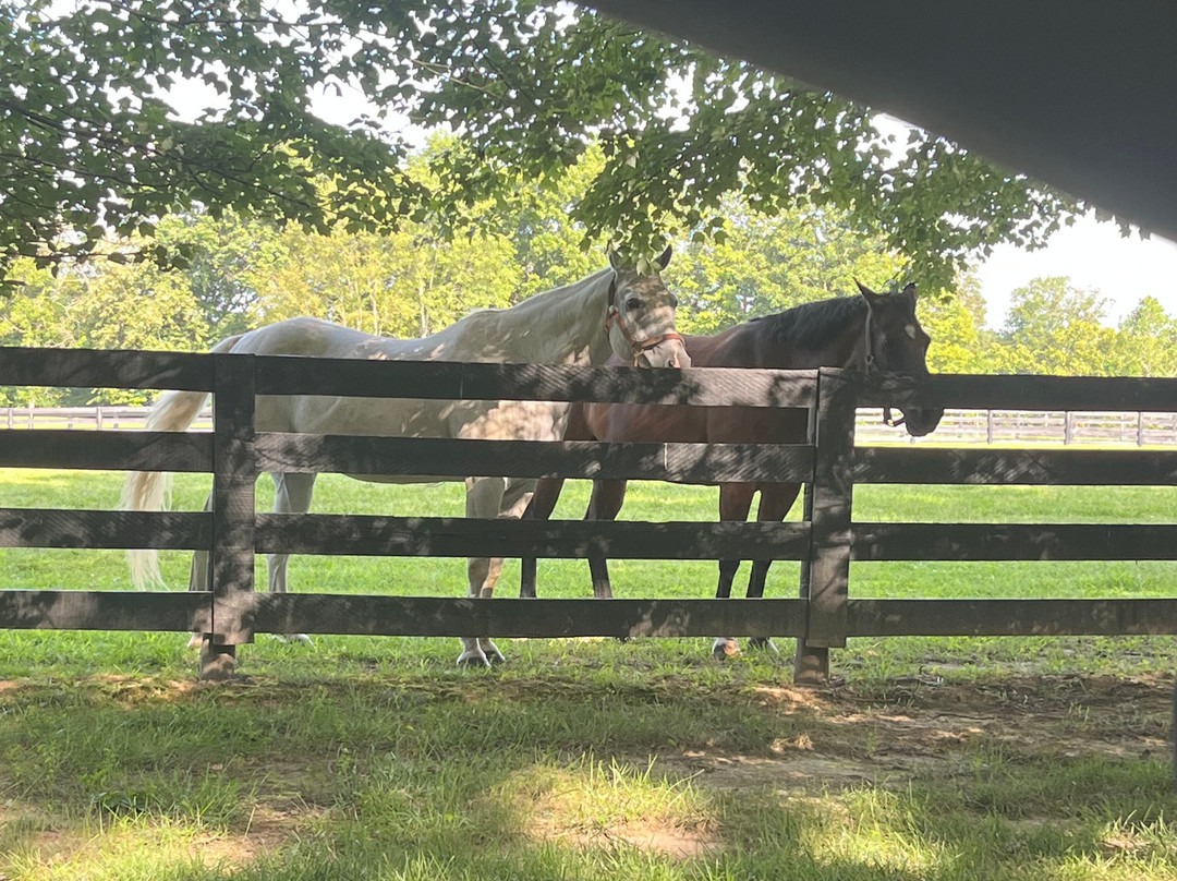 Bluegrass Country Estate主图