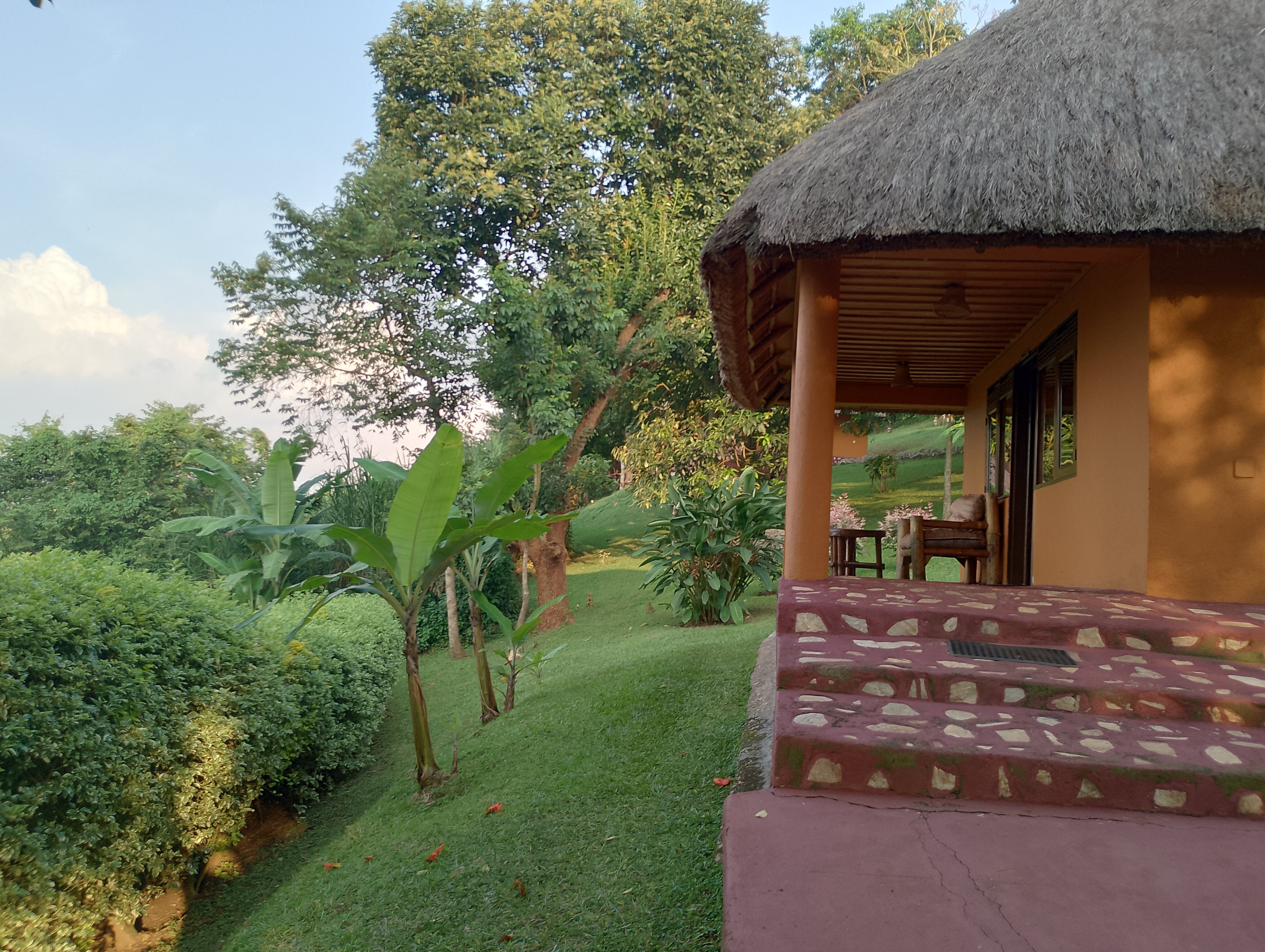 Chimpanzee Forest Lodge.-官方