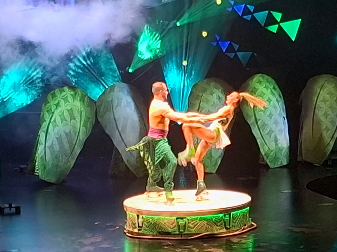 Cirque du Soleil 'Auana-火奴鲁鲁必去景点