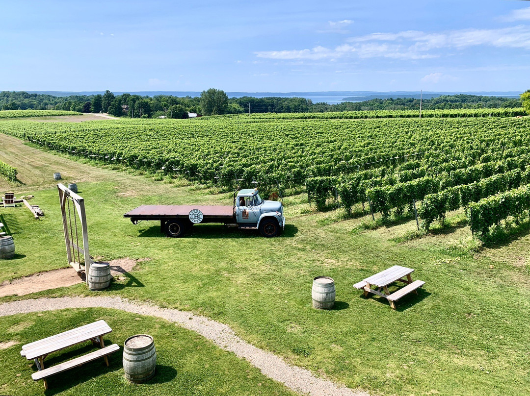 Bonobo Winery-特拉弗斯城必去景点