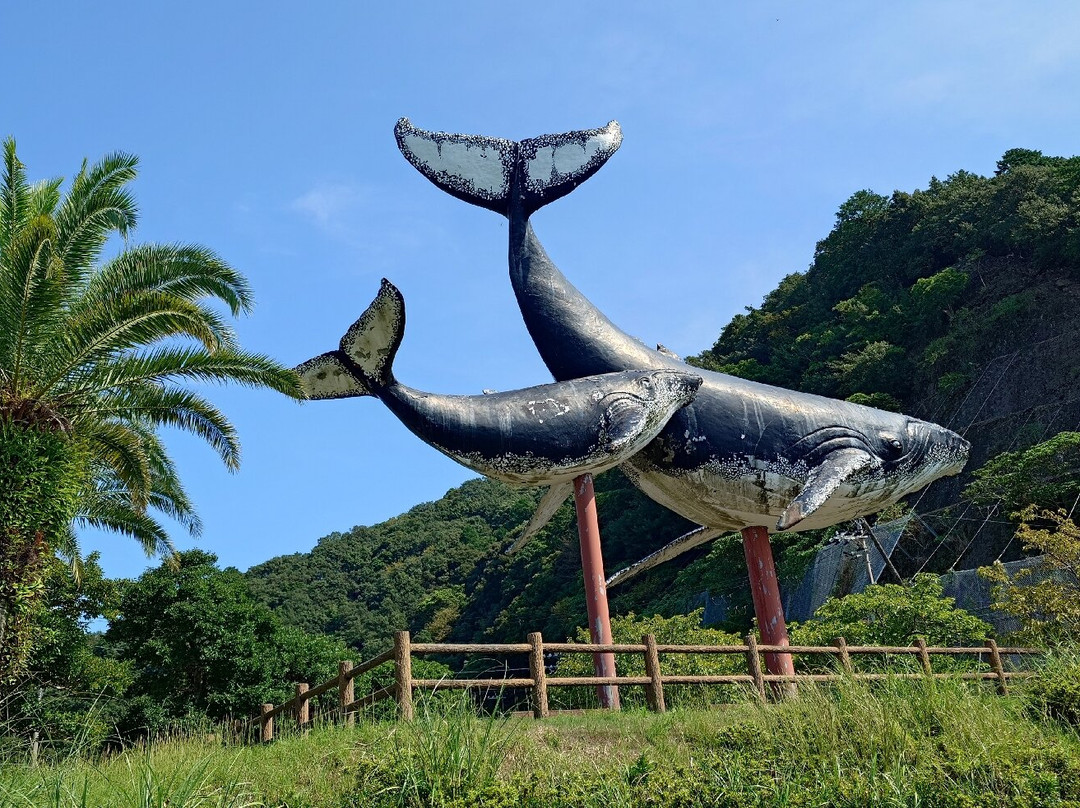 Taiji Whale Museum-太地町必去景点