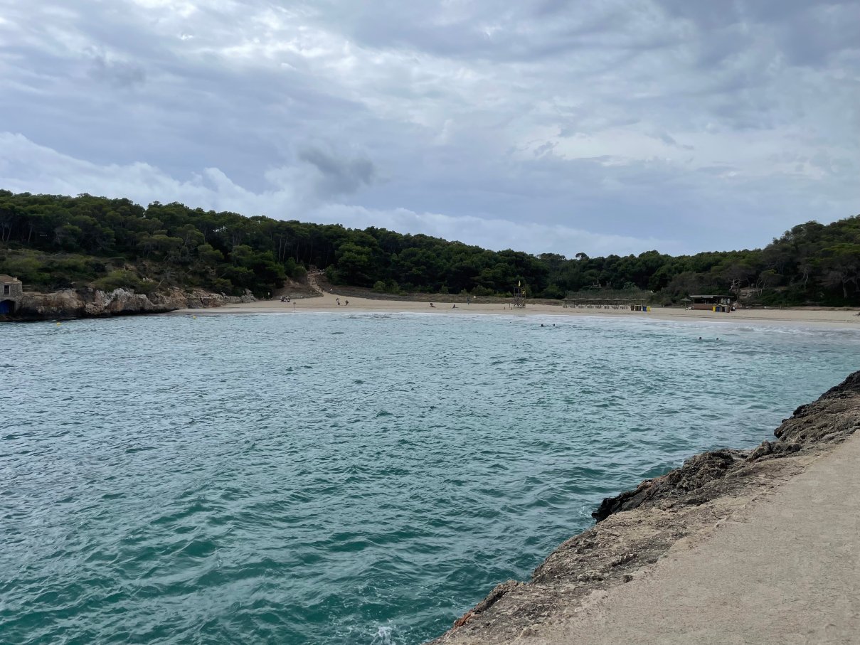 普拉亚蒙卓葛酒店(Playa Mondrago Hotel Apartments)-泳池