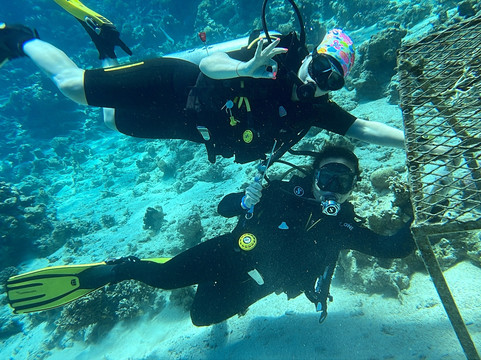 Eagle Divers Egypt-沙姆沙伊赫必去景点