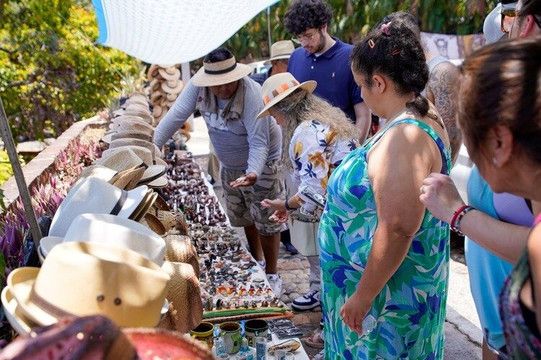 Obi Tours-瓦拉塔港必去景点