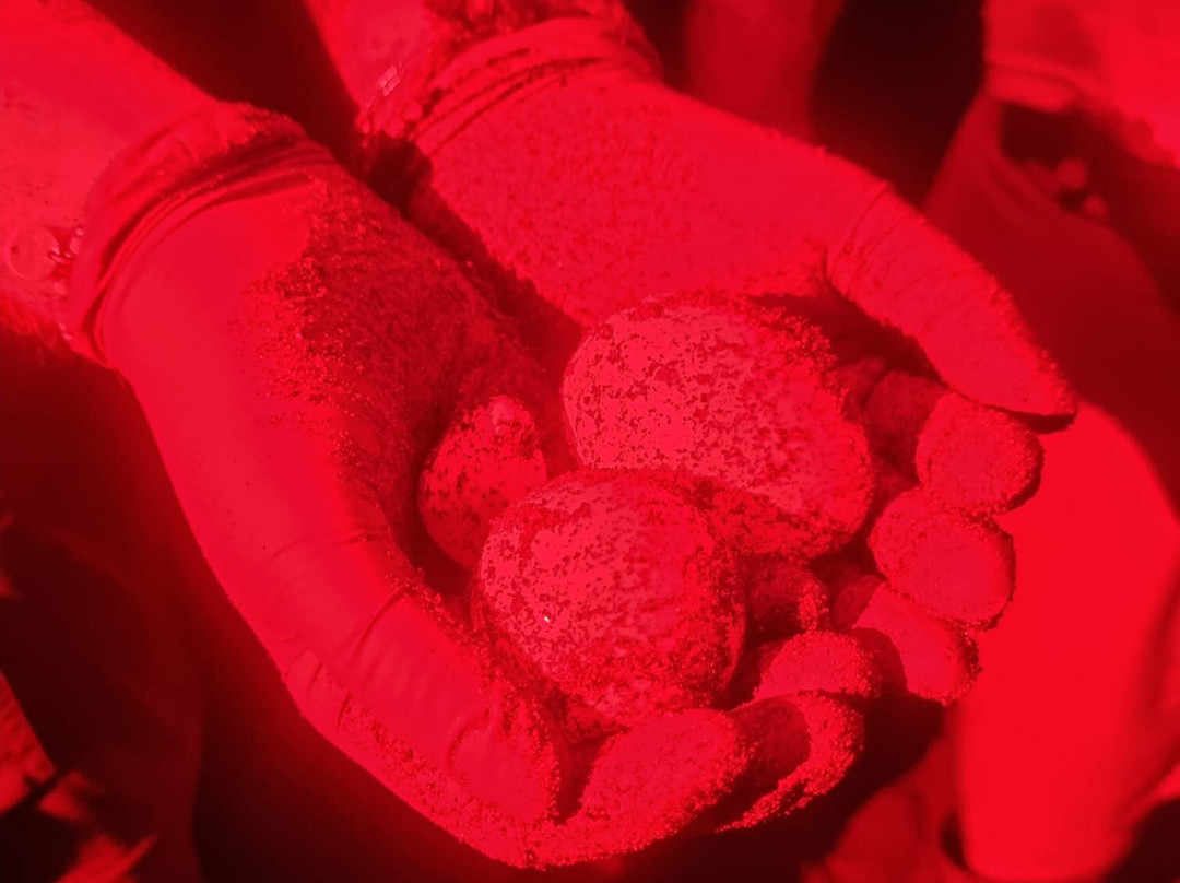 Osa Conservation Campus-希门尼斯港必去景点