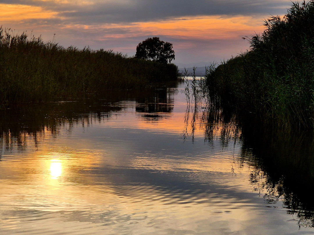 Embarcadero Rosa la Barquera y Tonet-El Palmar必去景点