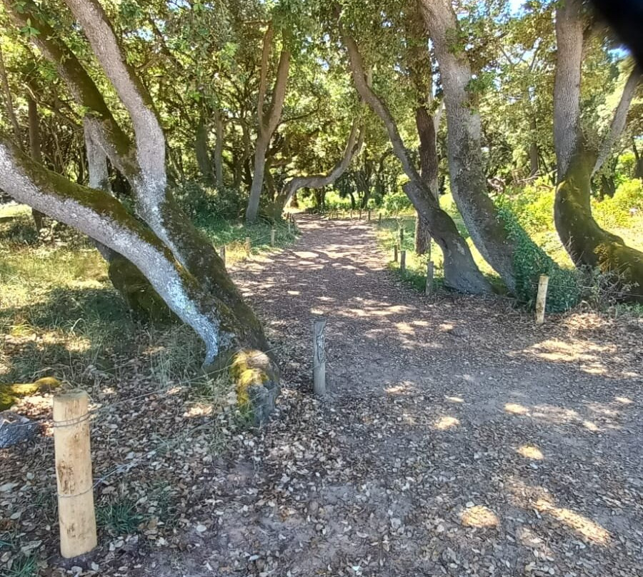 Plage des Dames-Ile de Noirmoutier必去景点