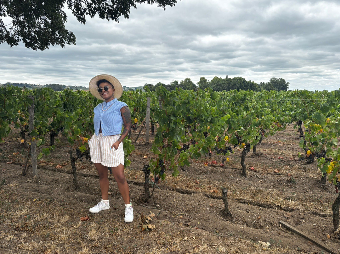 Chateau Palais Cardinal-Saint-Sulpice-de-Faleyrens必去景点