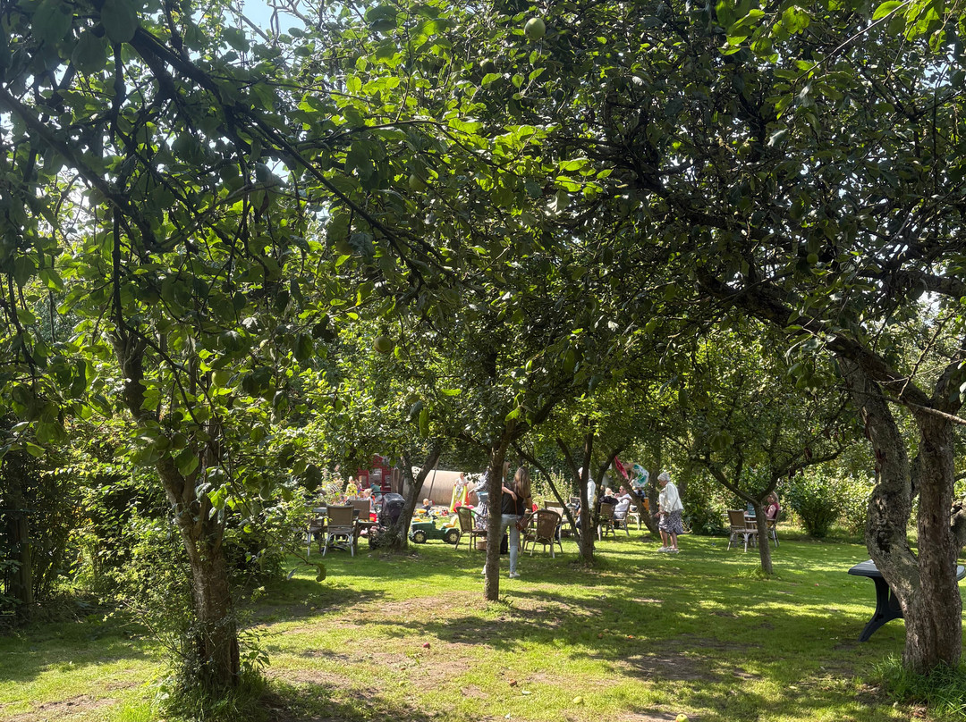 Pluktuin het Platteland-Putten必去景点