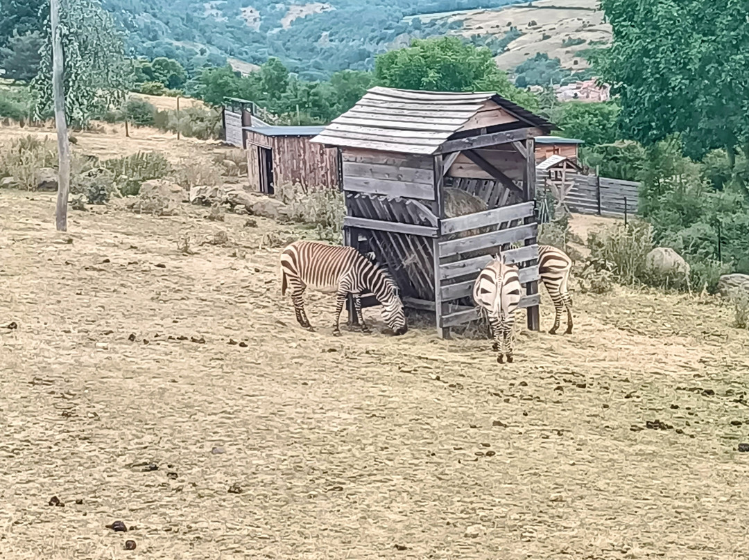 Parc Animalier d'Auvergne-Ardes必去景点