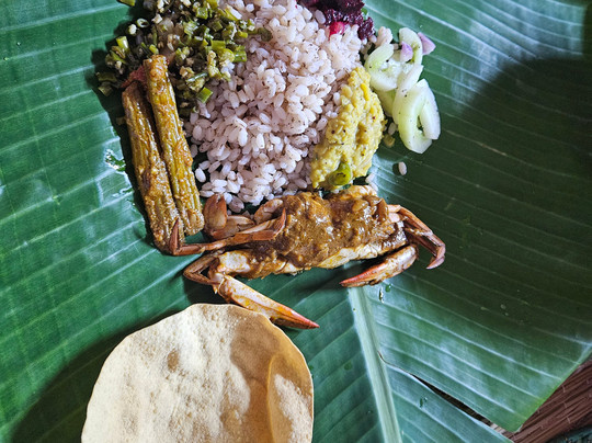 Elite Travels Jaffna-贾夫纳必去景点