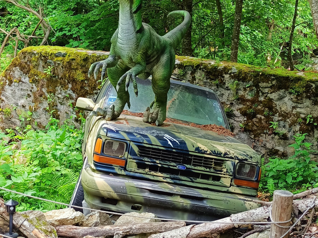 Pensiunea Bucura主图