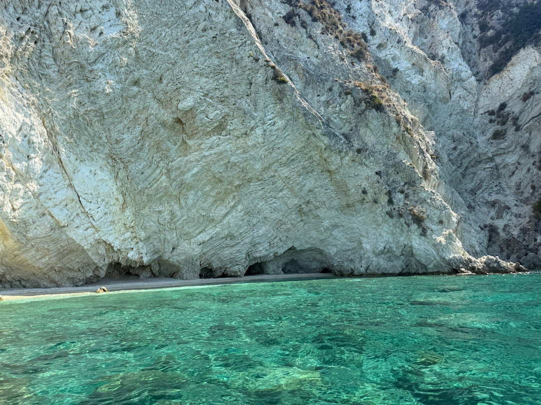 Dolphin Boat Rentals-利姆尼科利必去景点