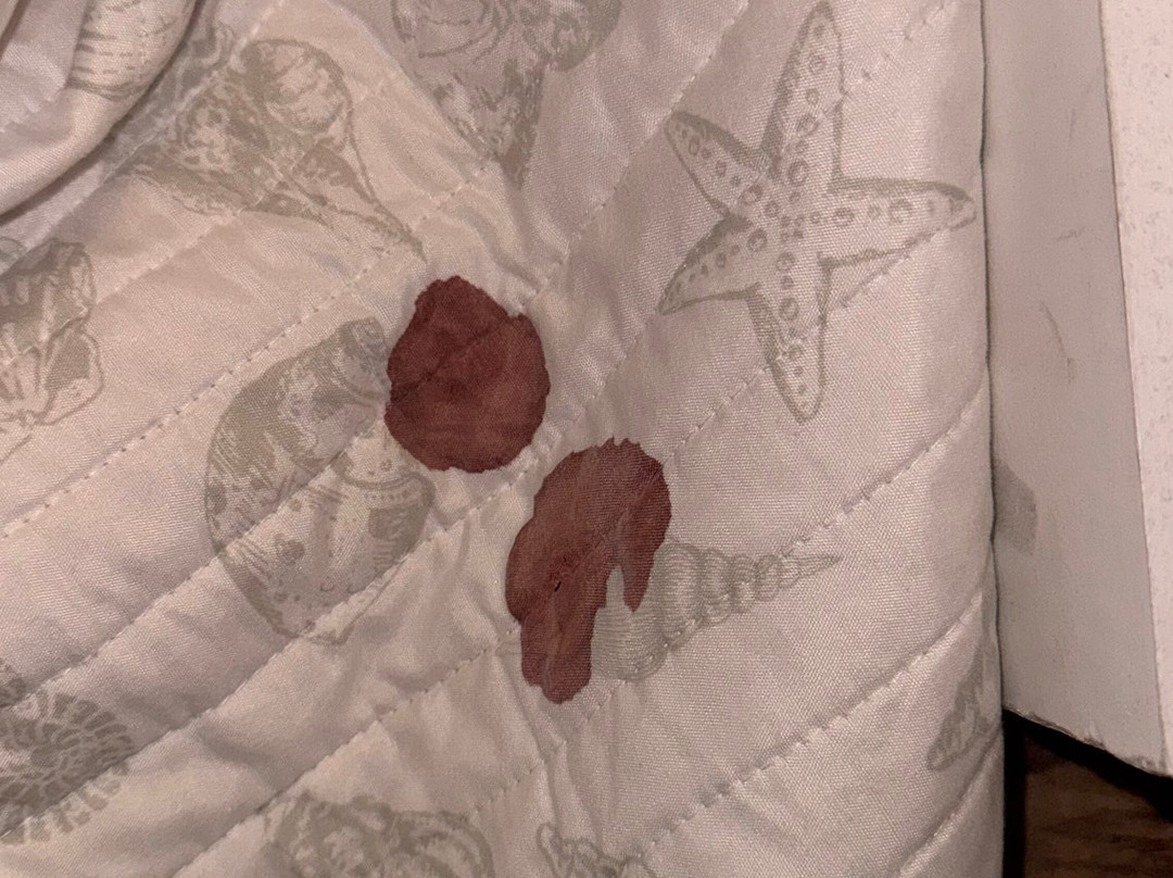 Beachwalk Elite Hotels and Resorts主图