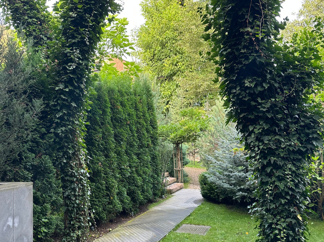 Dilijani Tun Hotel主图