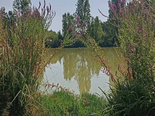 Oasi Naturalistica-Tortoreto必去景点