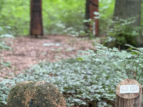 Sauener Wald-Rietz-Neuendorf必去景点