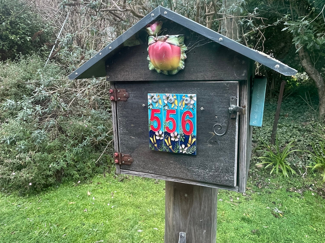 Akaroa's Eastern Bays Scenic Mail Run-阿卡罗阿必去景点