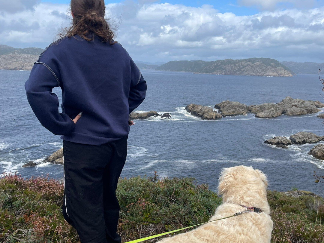 Varnes Fyr-法尔松德必去景点