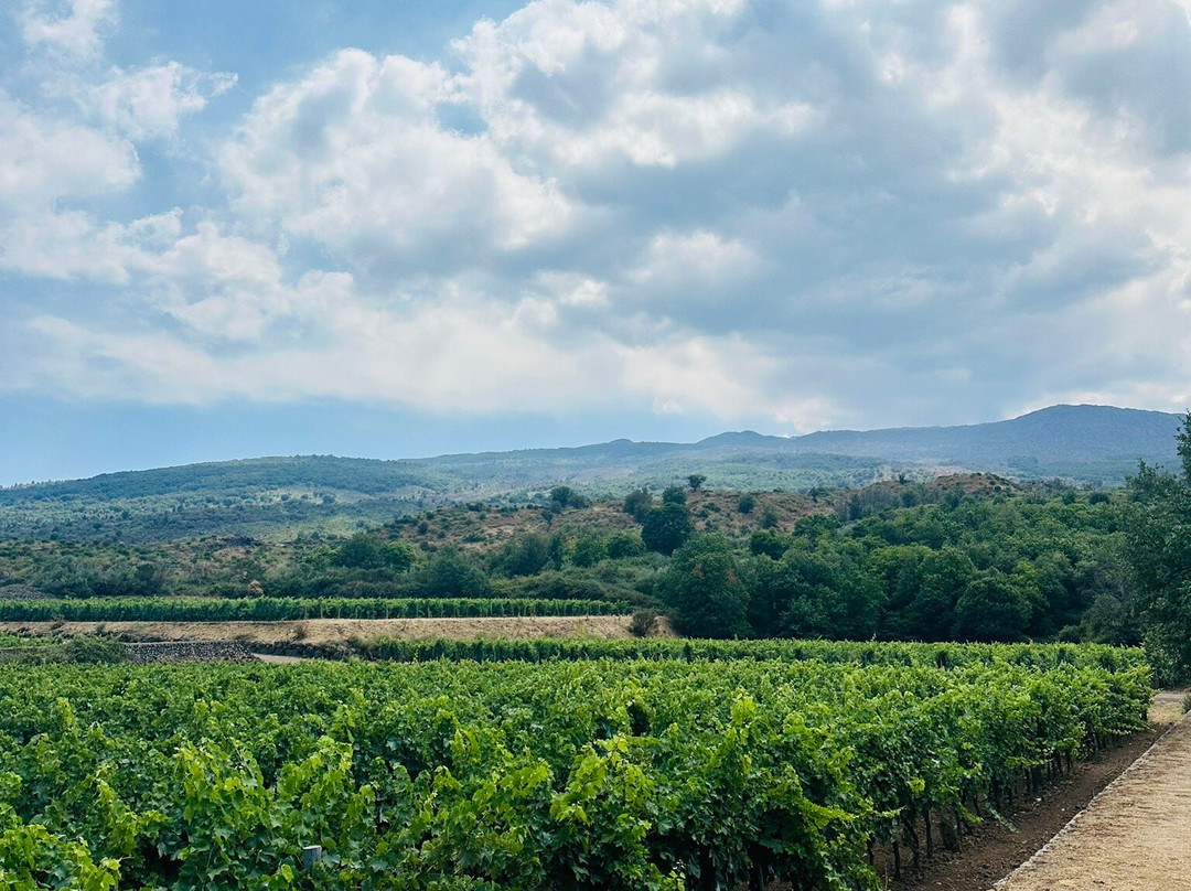 Planeta Sciaranuova Etna-Castiglione di Sicilia必去景点