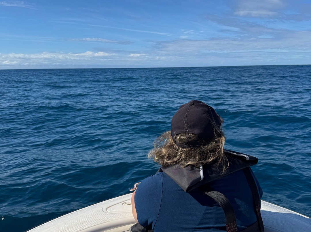 Ecosul Turismo-Ilheus必去景点