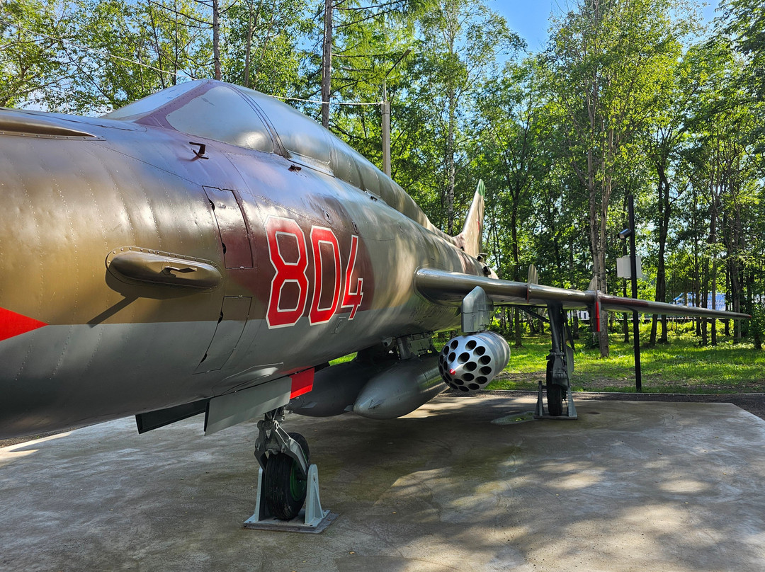 Gagarina Park-Komsomolsk-on-Amur必去景点