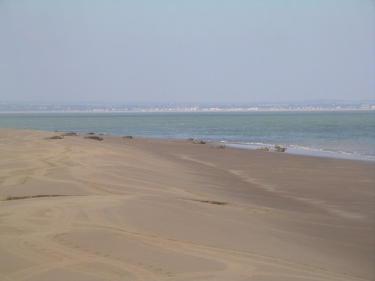 Dover Sea Safari-多佛必去景点