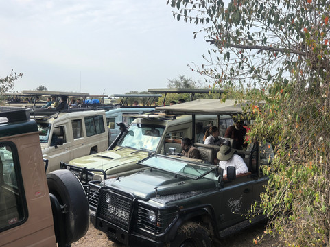 FOLLOW AFRICAN SAFARIS-阿鲁沙必去景点