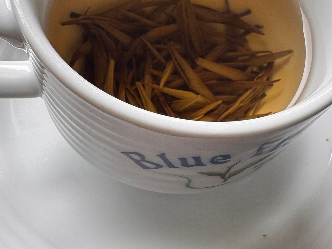 tuk tuk tk tours-Nanu Oya必去景点